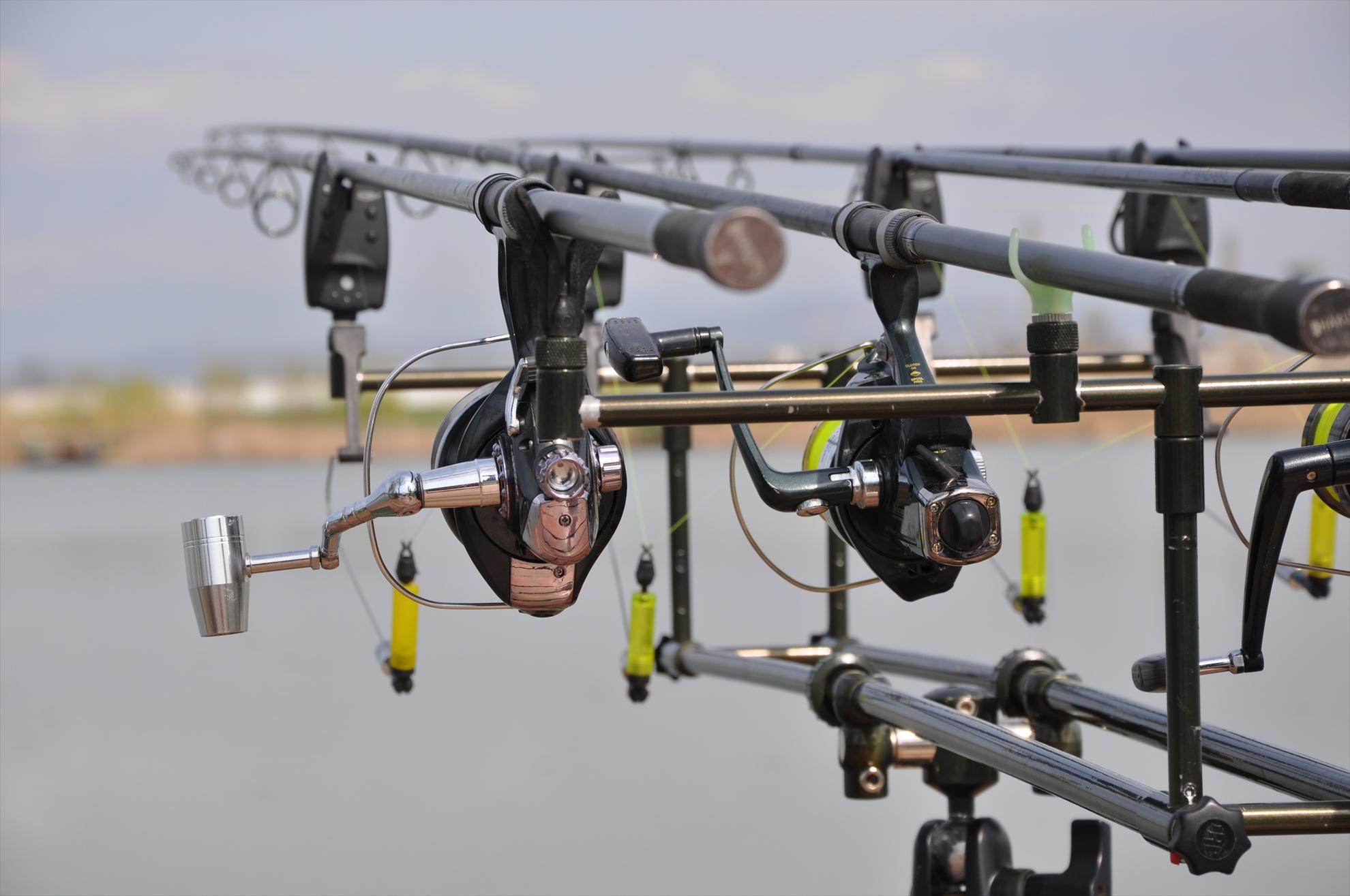 PLEASA 13.04.2013 - dsc0255.JPG